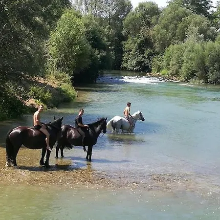 Domaine De *