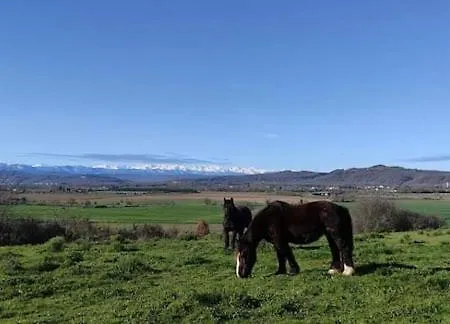 Domaine De * Montaut-Ariège